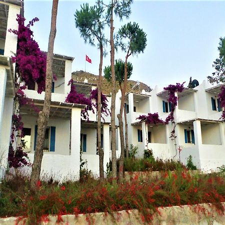 Sunset Mavi Villa Turgutreis Ngoại thất bức ảnh