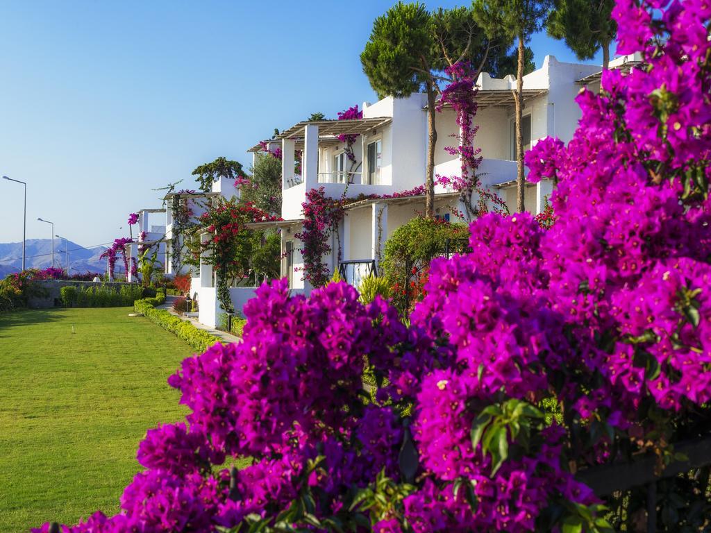 Sunset Mavi Villa Turgutreis Ngoại thất bức ảnh