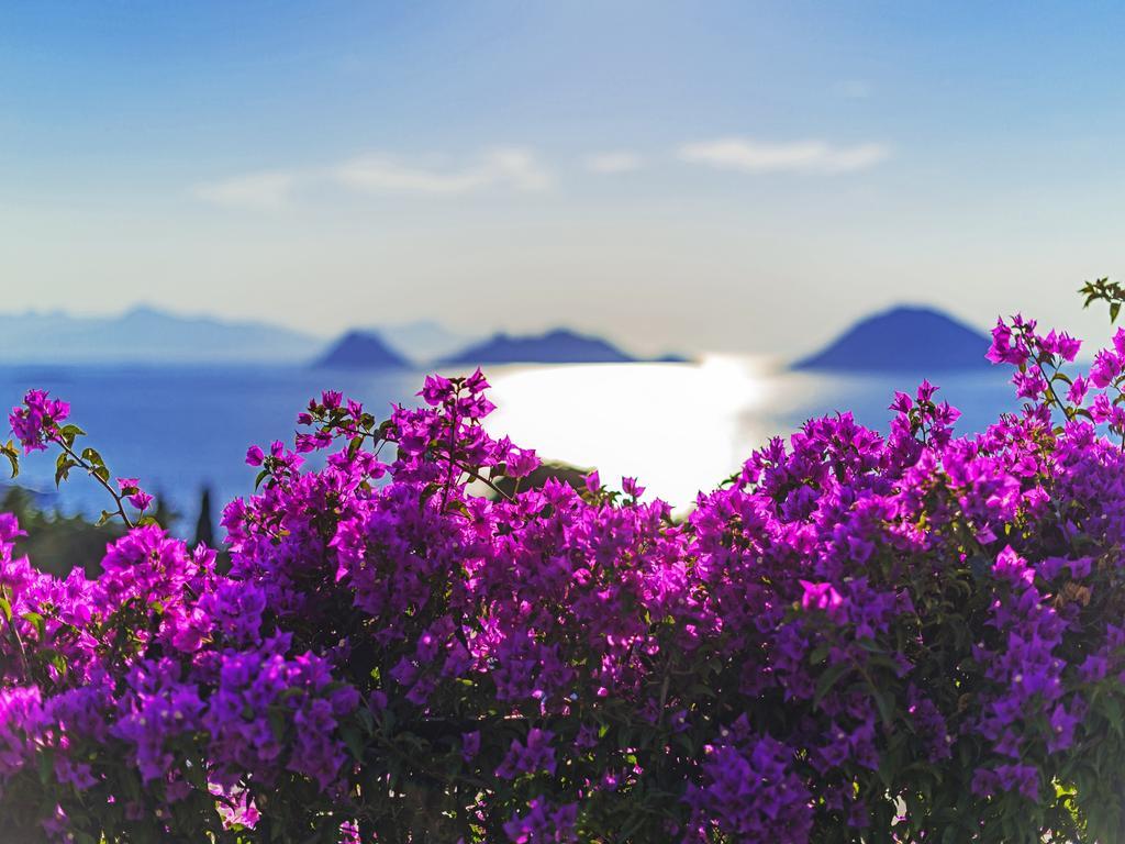Sunset Mavi Villa Turgutreis Ngoại thất bức ảnh
