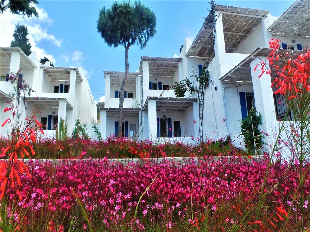 Sunset Mavi Villa Turgutreis Ngoại thất bức ảnh