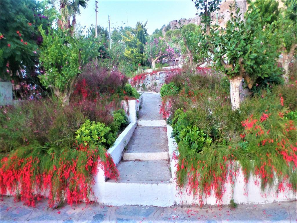 Sunset Mavi Villa Turgutreis Ngoại thất bức ảnh