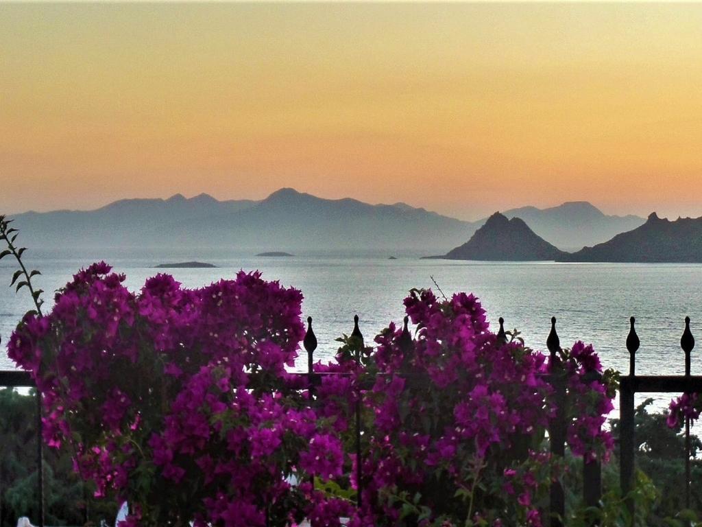 Sunset Mavi Villa Turgutreis Ngoại thất bức ảnh
