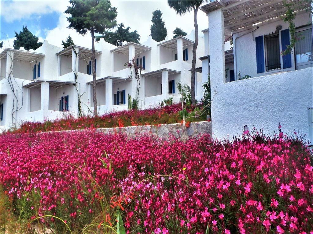 Sunset Mavi Villa Turgutreis Ngoại thất bức ảnh