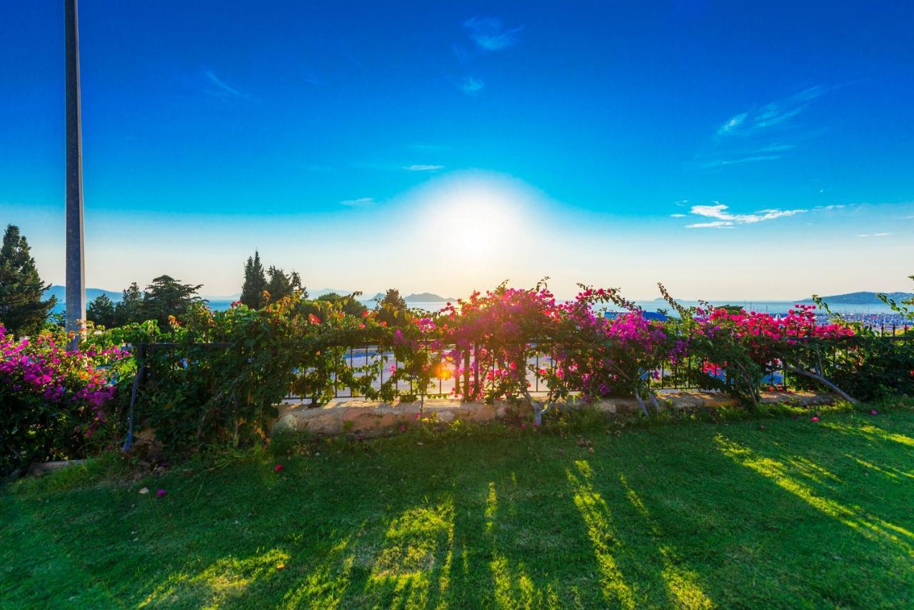 Sunset Mavi Villa Turgutreis Ngoại thất bức ảnh